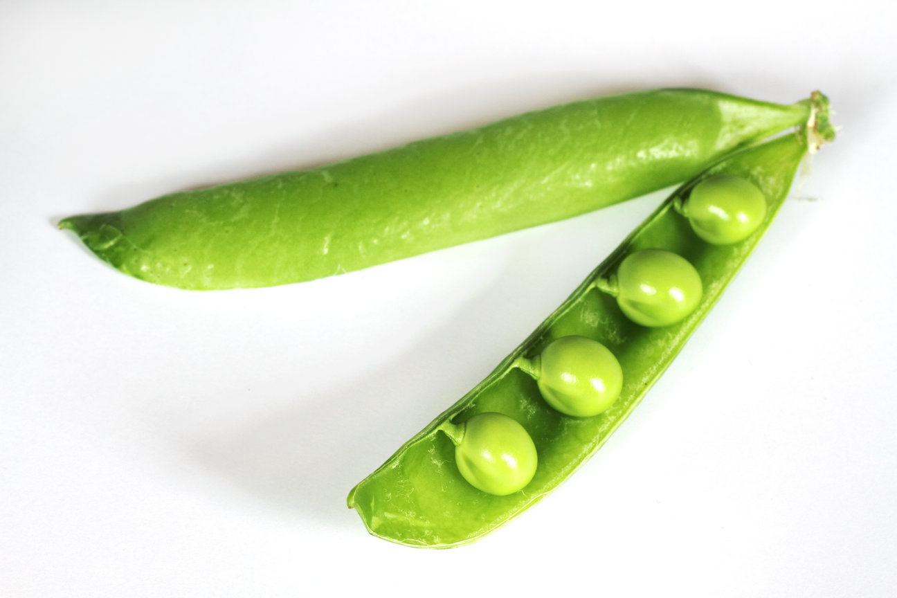 The Four P's of Social Media Reuben Rink