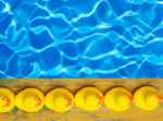 Setting Up Priorities - Marketing Plan