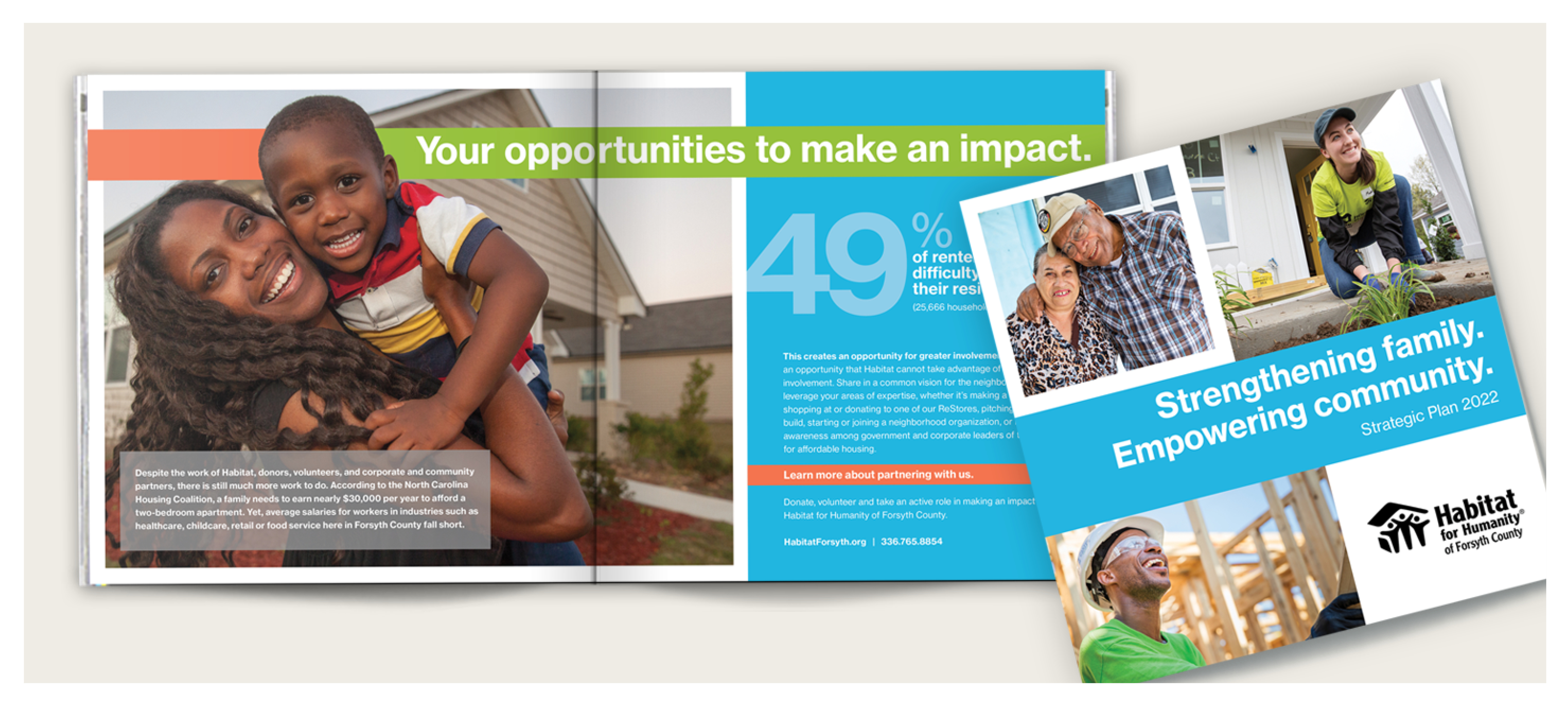 habitat for humanity strategy report